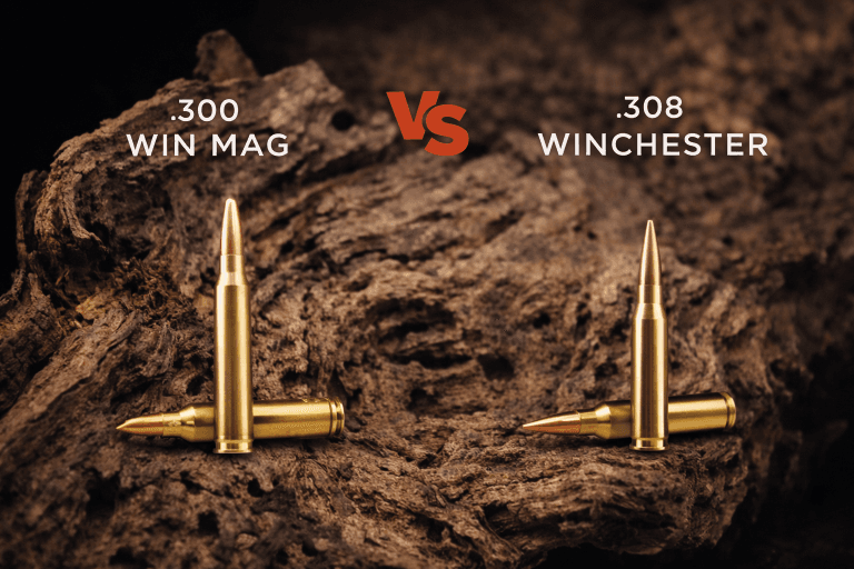 .308 Winchester vs .300 Win Mag – diferențe pentru vânătoare la cerb, mistreț și urs