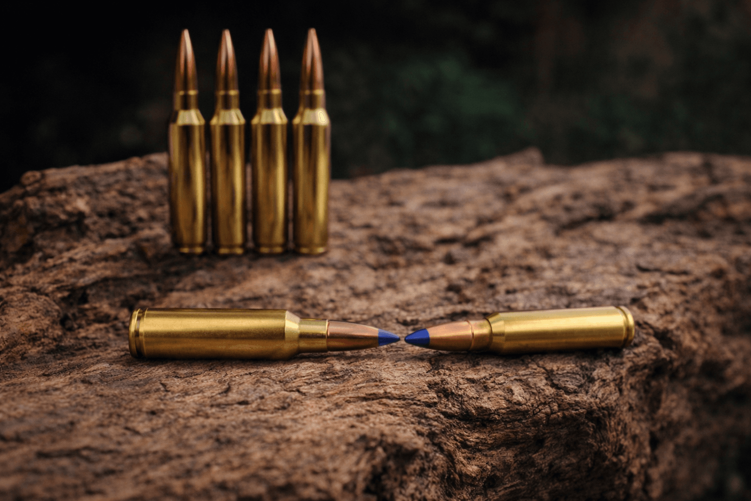 6.5x55 se vs .308 Winchester – muniție clasică pentru vânătoarea europeană