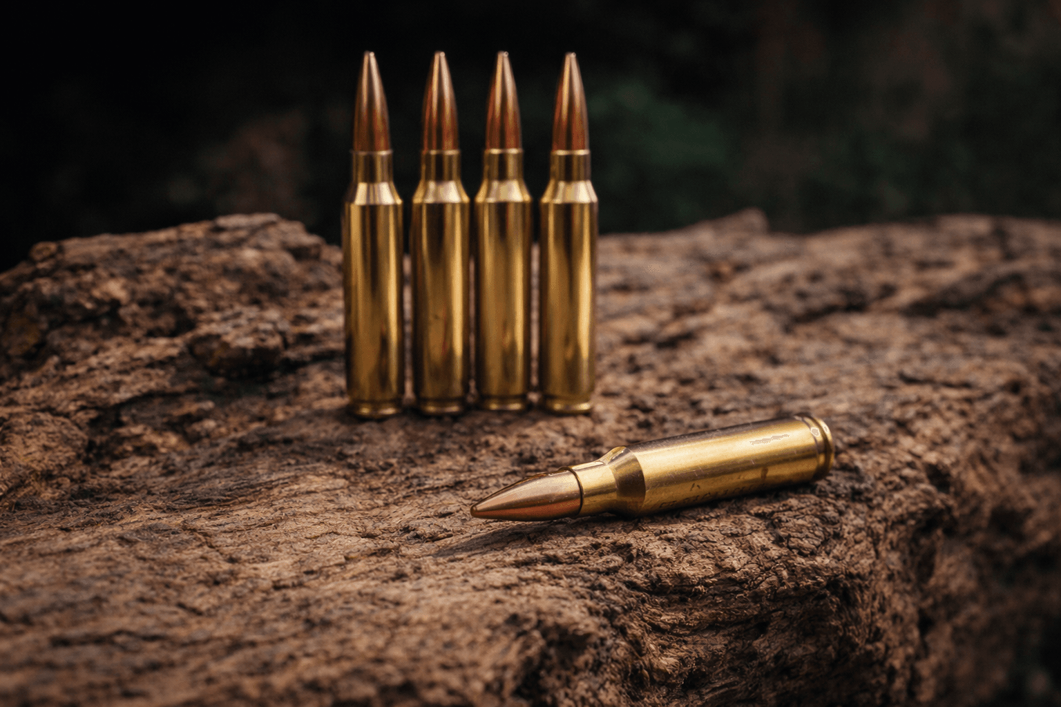 Muniția ideală pentru .308 Winchester