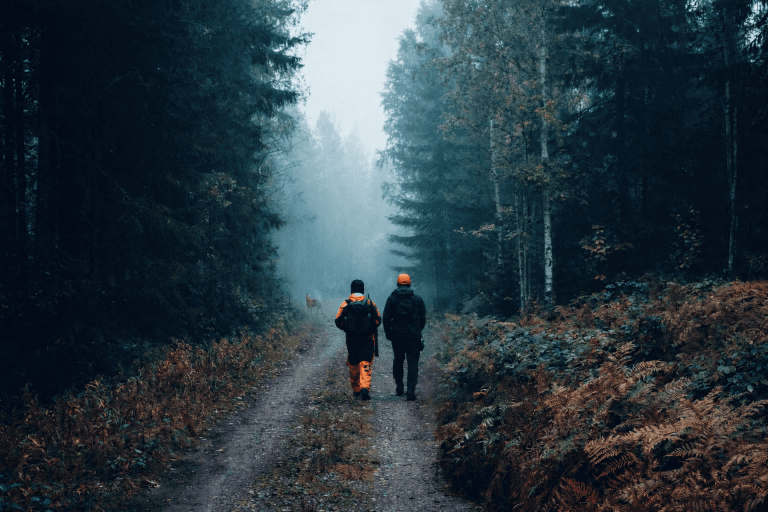 Doi vânători mergând pe un drum forestier, cu vânat observat de la distanță – atenție la interpretarea terenului